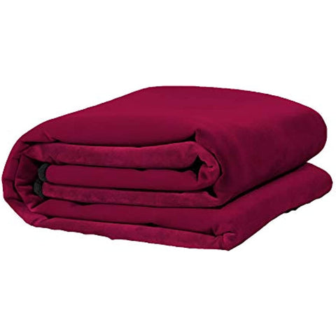 Waterproof Throw Blanket | Protector for People and Pets | Leak Proof Moisture Barrier - Regular Size, Micro-Velvet Red