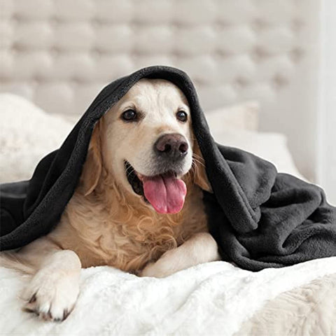 Fleece Blankets Black Throw Blankets for Couch & Bed, Plush Cozy Fuzzy Blanket 50" x 60", Super Soft & Warm Blankets for Spring and Summer
