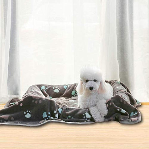 Super Soft and Premium Fuzzy Flannel Fleece Pet Dog Blanket, The Cute Print Design Washable Fluffy Blanket for Puppy Cat Kitten Indoor or Outdoor, Grey, 31 x 24 Inches