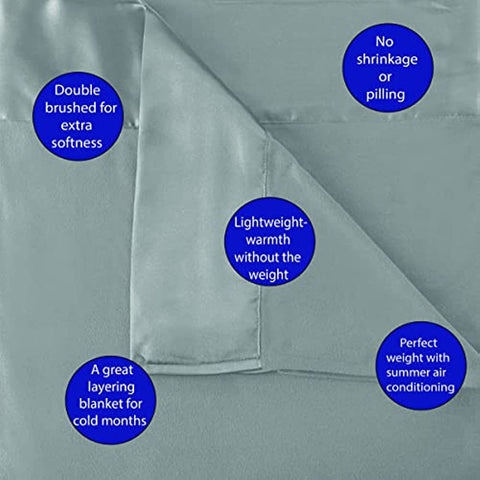 Micro Flannel Twin-Size All Seasons Lightweight Sheet Blanket, Machine Wash & Dry, No Pilling, 84Lx72W, Sand