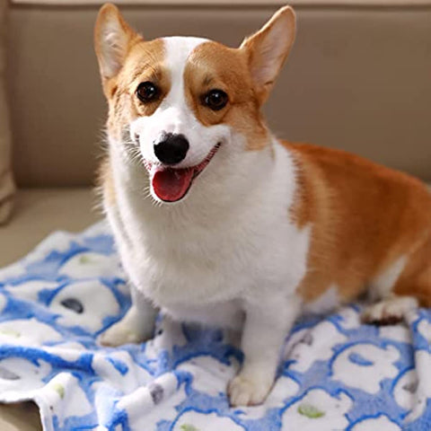 1 Pack 3 Blankets Super Soft Fluffy Premium Cute Elephant Pattern Pet Blanket Flannel Throw for Dog Puppy Cat Blue/Pink/Yellow Small(23x16 inch)