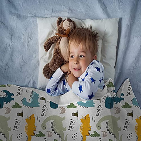 Dinosaur Blanket for Boys Girls 300 GSM Soft Fleece Kids Blanket Baby Boy Blanket Suitable for Toddler Couch Cute Blanket for Sofa Bedroom Living Room Dinosaur Gifts for Children 50"x40"