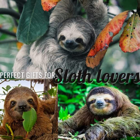 Sloth Throw Blanket, Sloth Gifts for Women Adults and Kids, Flannel Blankets for Sofa Couch Bed, Christmas, Birthday, Thanksgiving, 50" x 65"