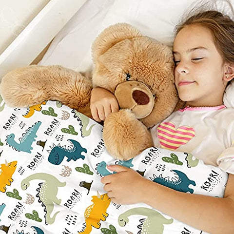 Dinosaur Blanket for Boys Girls 300 GSM Soft Fleece Kids Blanket Baby Boy Blanket Suitable for Toddler Couch Cute Blanket for Sofa Bedroom Living Room Dinosaur Gifts for Children 50"x40"