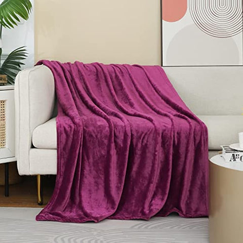 Purple Throw Blanket Fleece Blanket 50"x60",Super Soft Cozy Plush Throw Blanket for Couch Sofa Bed,Warm and Lightweight Velvet Bed Blankets for Adults