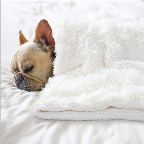 Medium Dog Blanket for Couch Bed Crate, Cozy Reversible Fleece Dog Blanket, Washable Fluffy Throw Blankets 30x40 Inches Grey