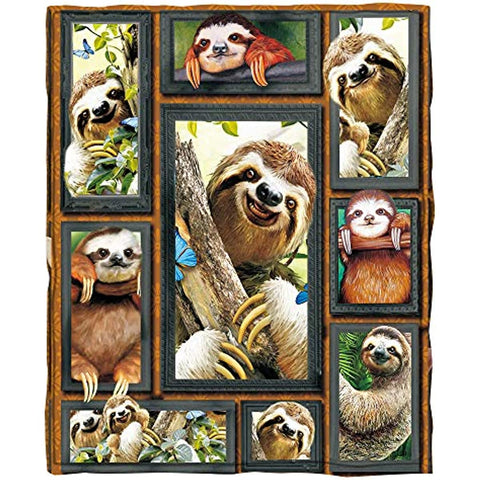 Flannel Blanket 3D Sloth Blanket Lightweight Cozy Soft Plush Throw Blanket for Sofa Couch Bed All Season (3D Sloth, 60'' x 50'')