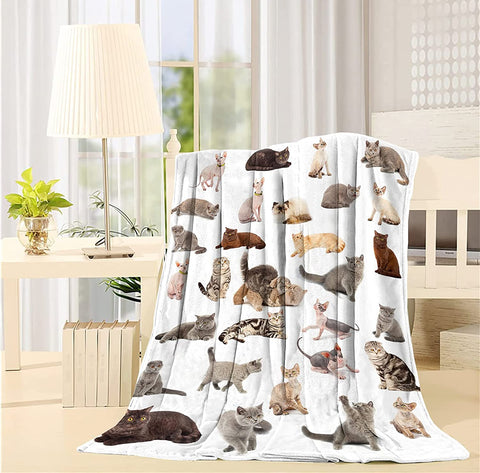Dinosaur World Blanket Throw, Flannel Fleece Ultra-Soft Fluffy Throw Unisex Light Comfort Blanket for Couch, Sofa Living Room and Camping 40" x 50"