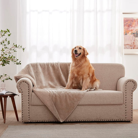 Waterproof Dog Blanket for Bed Couch Sofa Car, Super Soft and Warm Puppy Blanket for Small Dogs Cats, Fleece Sherpa Throw Furniture Protector Pet Hair Resistant Blanket 30"x40" Inches