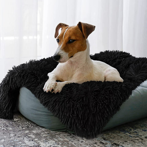 Medium Dog Blanket for Couch Bed Crate, Cozy Reversible Fleece Dog Blanket, Washable Fluffy Throw Blankets 30x40 Inches Grey