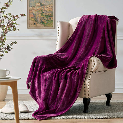 Flannel Fleece Throw Blanket, Super Soft Plush Throw for Couch Bed, Cute Sloth Blankets Gift for Women Kids, 50''x60''